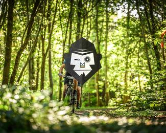 Bataille de Norg photo