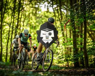 Veldslag om Norg photo