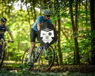 Bataille de Norg photo