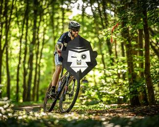 Bataille de Norg photo