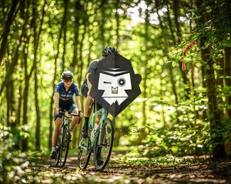 Bataille de Norg photo