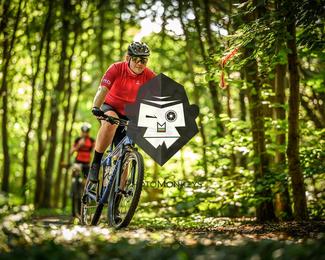 Bataille de Norg photo