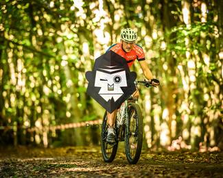 Veldslag om Norg photo