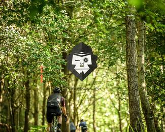 Battle of Norg photo