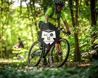 Bataille de Norg photo