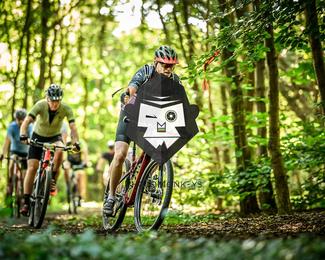 Bataille de Norg photo