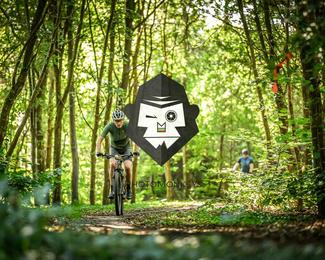 Veldslag om Norg photo