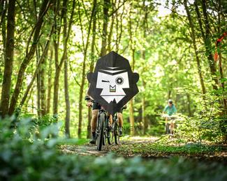 Veldslag om Norg photo