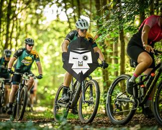 Veldslag om Norg photo