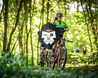 Veldslag om Norg photo