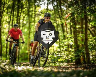 Battle of Norg photo