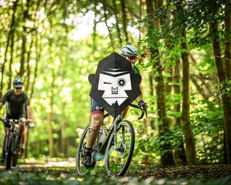 Bataille de Norg photo