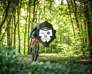 Veldslag om Norg photo