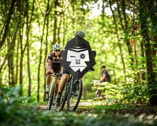 Bataille de Norg photo