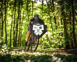 Bataille de Norg photo