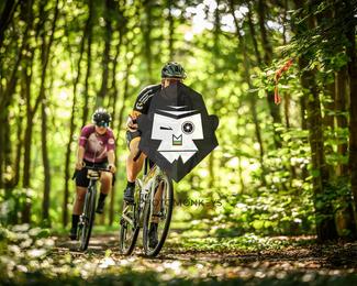 Bataille de Norg photo