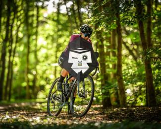 Bataille de Norg photo