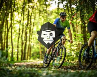 Bataille de Norg photo