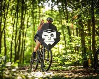 Battle of Norg photo