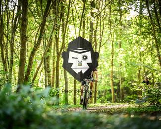 Bataille de Norg photo