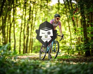 Bataille de Norg photo