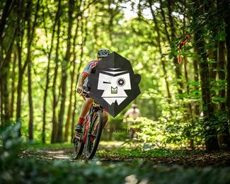 Bataille de Norg photo