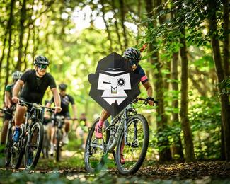 Veldslag om Norg photo