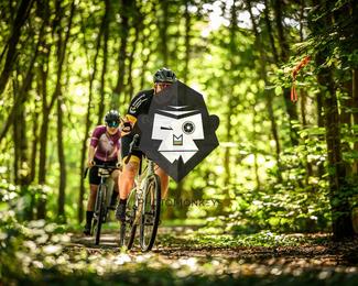 Bataille de Norg photo