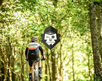 Battle of Norg photo