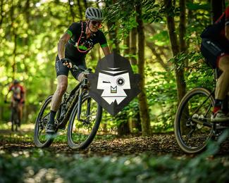 Veldslag om Norg photo