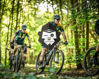 Veldslag om Norg photo