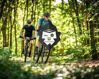 Battle of Norg photo