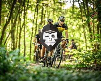 Bataille de Norg photo