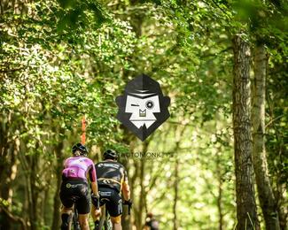 Battle of Norg photo