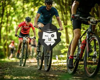 Veldslag om Norg photo