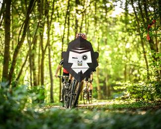 Bataille de Norg photo