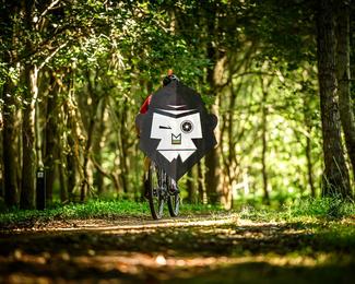 Battle of Norg photo