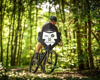 Bataille de Norg photo