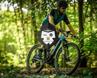 Bataille de Norg photo