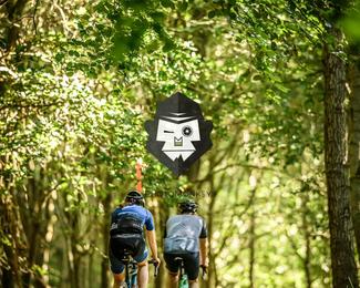 Bataille de Norg photo