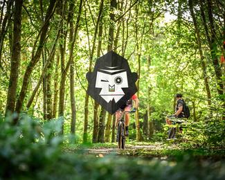 Bataille de Norg photo