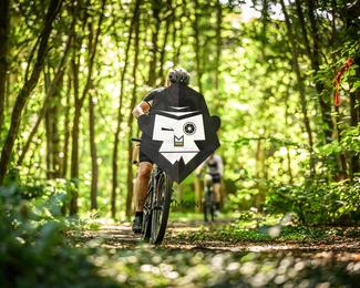 Battle of Norg photo