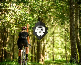 Battle of Norg photo