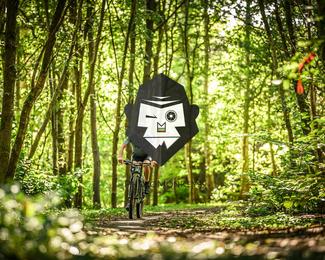 Bataille de Norg photo