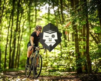 Battle of Norg photo