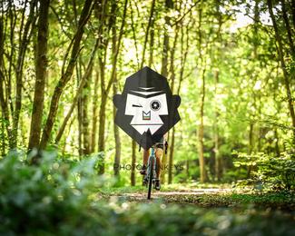 Bataille de Norg photo