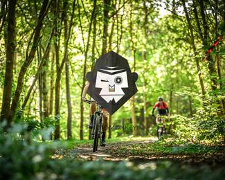 Veldslag om Norg photo