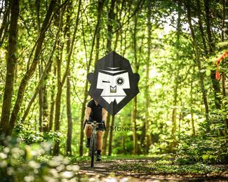 Bataille de Norg photo