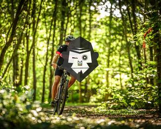 Bataille de Norg photo