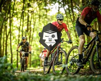 Bataille de Norg photo